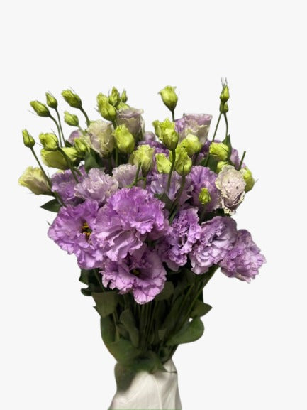 Lisianthus Wave Purple