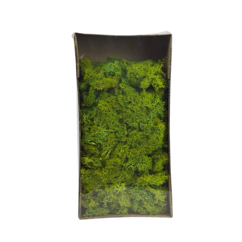 Preserve Moss