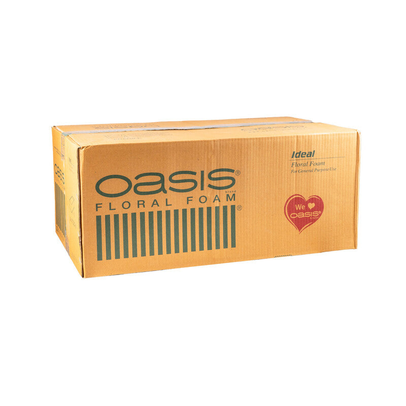 Oasis Foam