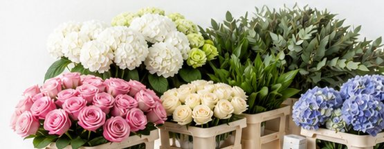 Fresh Flowers, Thoughtfully Delivered